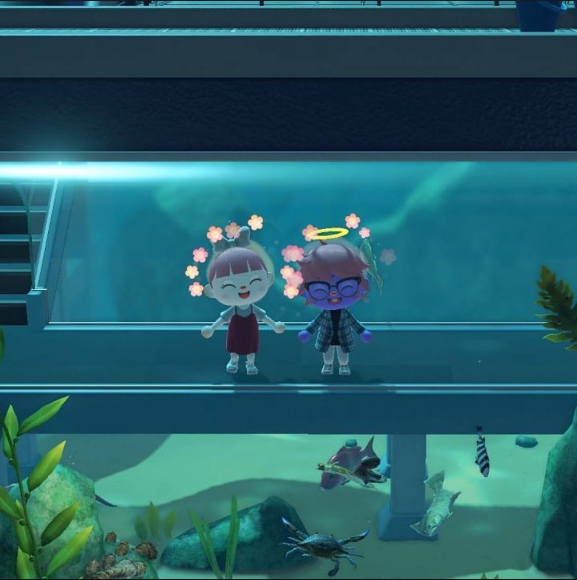 us in animal crossing being happy